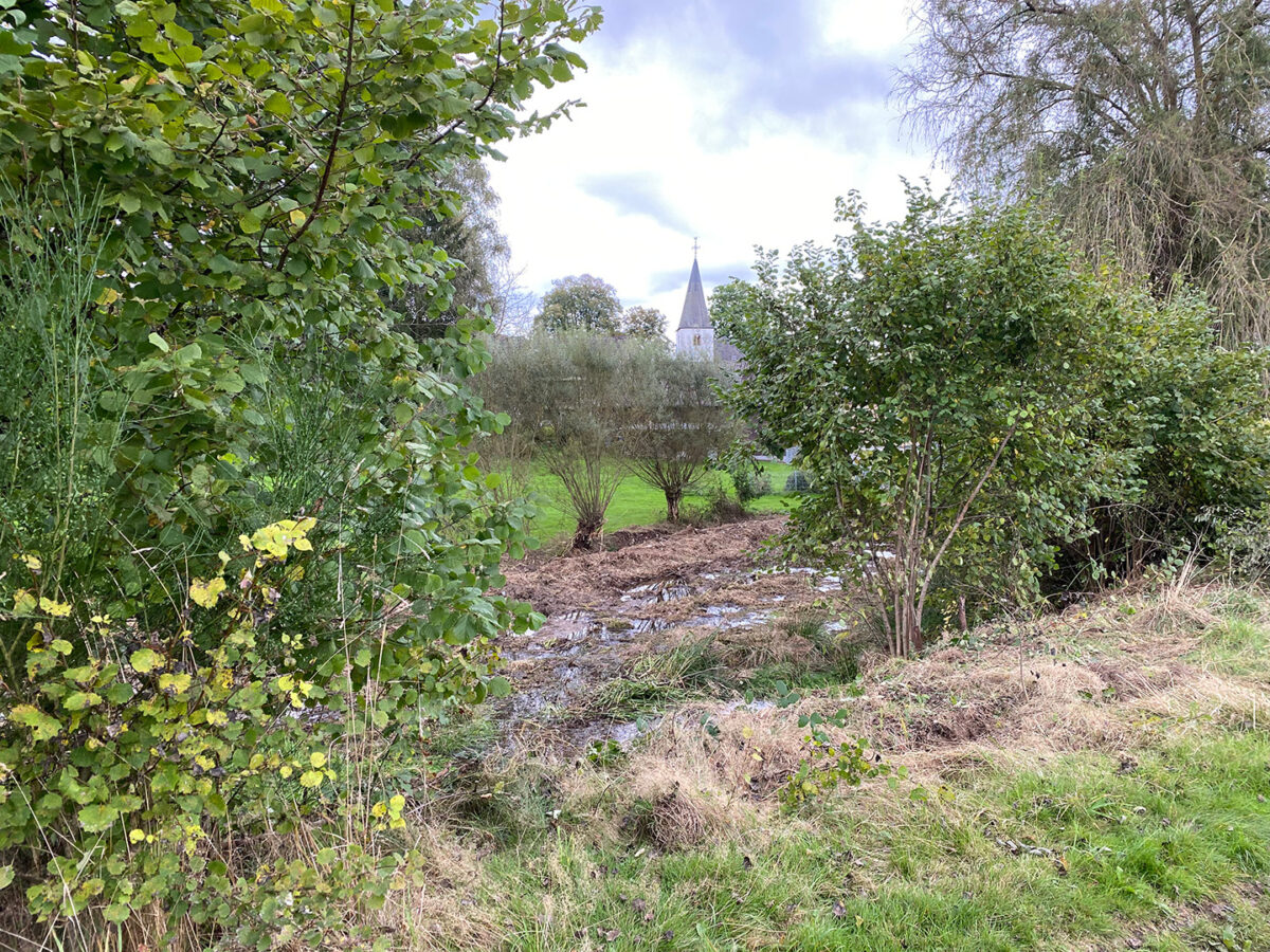 Arbeiten zur ökologischen Aufwertung Brandweiher in Hilgenroth