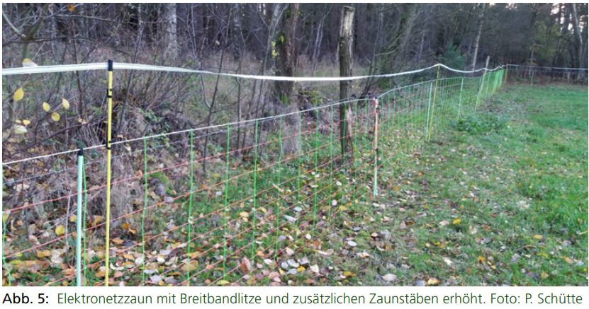 Beispielbild: Weidenetz mit Breitbandlitze in 120 cm (aus DVL-Broschüre: Abschreckende Hilfsmittel für den Herdenschutz; Infoblatt über den Einsatz von sekundären Hilfsmitteln